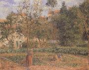 Camille Pissarro Vegetable Garden at the Hermitage near Pontoise oil painting reproduction